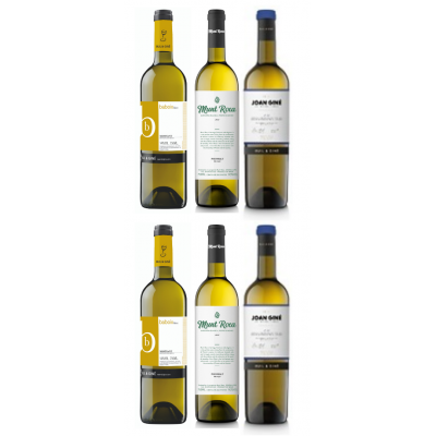 Summer White Wines