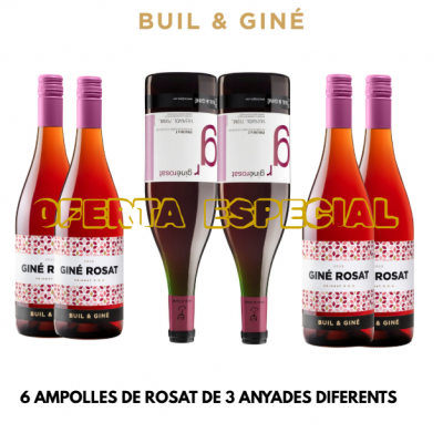 LOTE de 6 botellas de Giné...